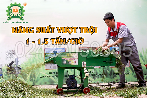 Năng suất Máy băm thân cây lạc 3A