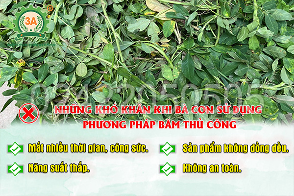 Những khó khăn thường gặp phải khi sử dụng các phương pháp thủ công để băm nhỏ cây lạc: