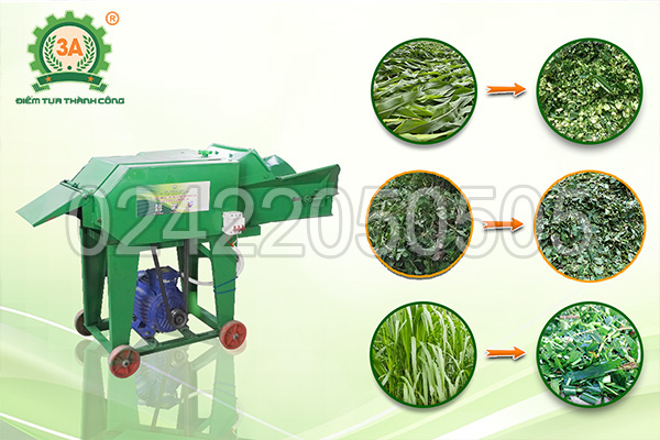 Máy băm thân cây lạc 3A3Kw