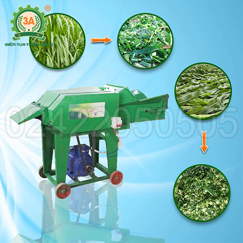 Máy băm thân cây lạc 2 buồng 3A3Kw