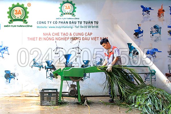 Kỹ thuật viên 3A sử dụng máy băm thân cây ngô, cỏ voi 3A2,2Kw