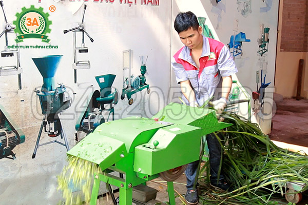 Máy băm thân cây ngô, cỏ voi 3A2,2Kw (11)