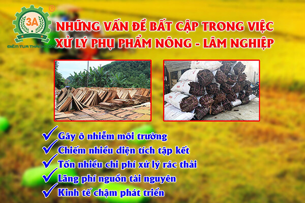 Máy băm ván bóc, vỏ cây 3A 9Z6A (05)