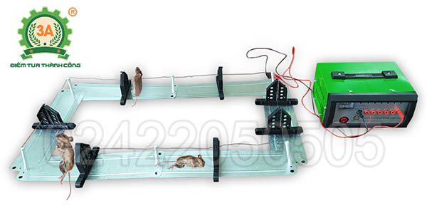 Máy bẫy chuột 3A (09)