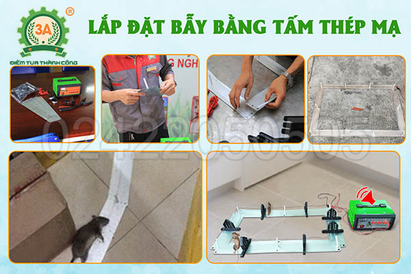 Máy bẫy chuột 3A (13)