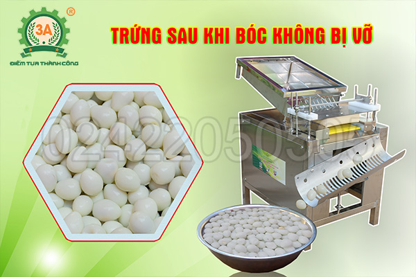 Máy tách trứng cút công nghiệp