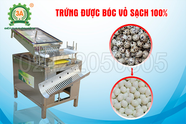 Máy bóc trứng cút công nghiệp