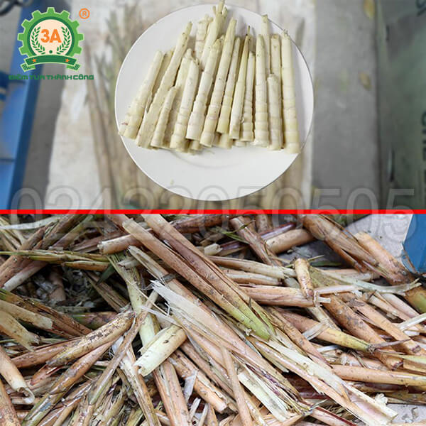 Máy bóc vỏ măng trúc 3A0,75Kw (05)