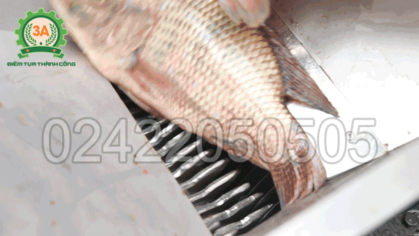 Bộ dao của máy cắt cá 3A2,2Kw chắc khỏe, sắc bén