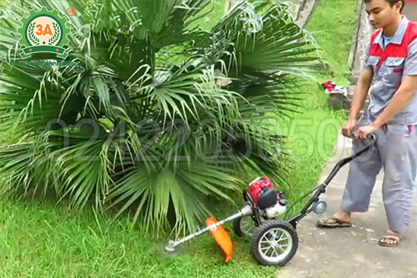 Máy cắt cỏ bánh xe 3A (loại 1 tay cầm)