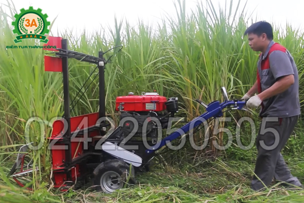 KTV sử dụng máy cắt cỏ cho bò 3A8HP