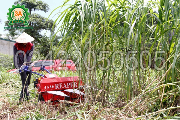 Kỹ thuật viên sử dụng Máy cắt cỏ voi 3A5,5HP