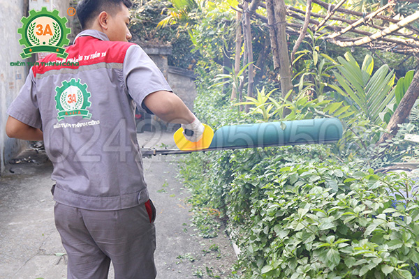 Máy cắt hàng rào 3A1Hp