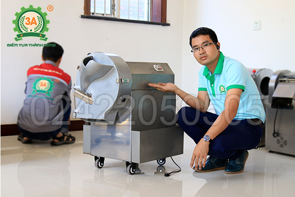 Máy cắt rau củ công nghiệp 3A1,5Kw (04)