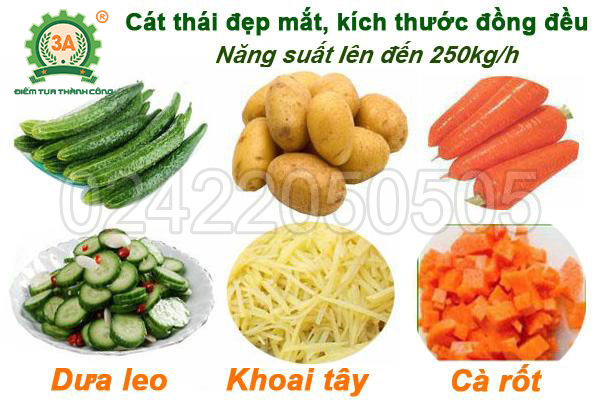 Máy cắt rau củ công nghiệp 3A1,5Kw (07)