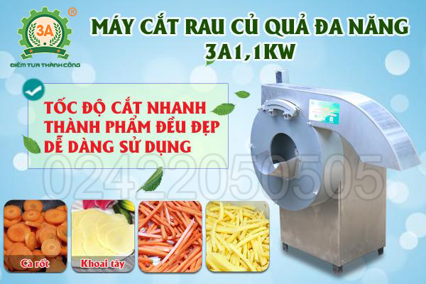 Máy cắt rau củ quả đa năng 3A1,1Kw (05)