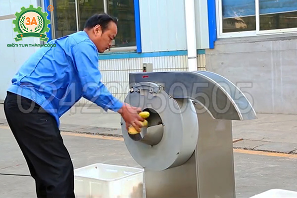 Máy cắt rau củ quả đa năng 3A1,1Kw (06)