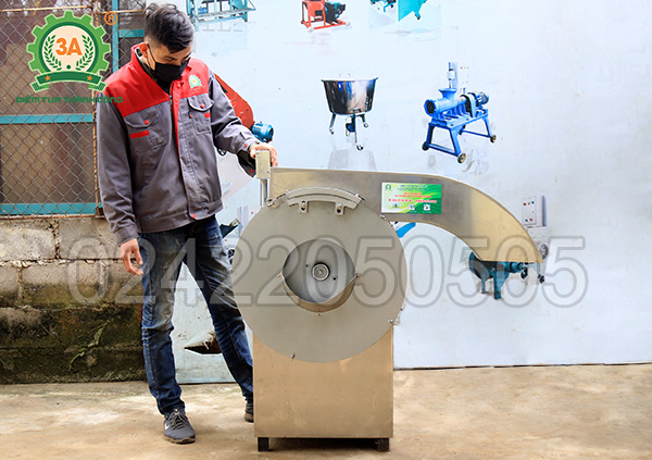 Máy cắt rau củ quả đa năng 3A1,1Kw (10)