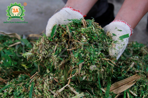 Máy chế biến thức ăn chăn nuôi đa năng 3A