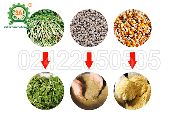 Nguyên liệu đầu vào và sản phẩm đầu ra của máy chế biến thức ăn chăn nuôi 3A2,2Kw phễu tròn