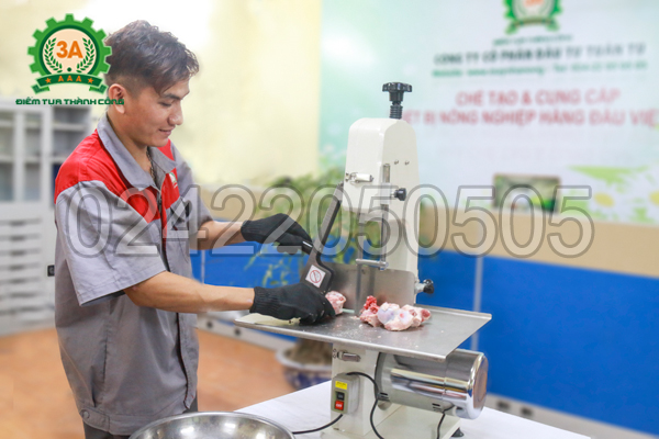 Cắt khúc xương lợn với máy cưa xương 3A1,1Kw