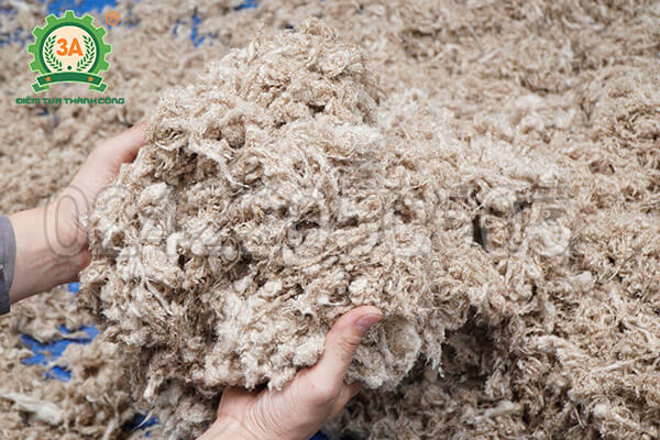 Máy đánh tơi bông 3A3,5Kw (10)