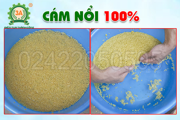 máy ép cám viên nổi 3A