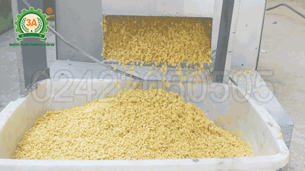 Năng suất Máy ép cám nổi cho tôm cá 3A15Kw