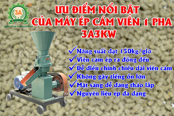 Ưu điểm