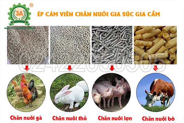 Máy ép cám viên công nghiệp 3A37kW (06)