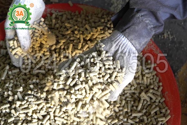 Máy ép cám viên công nghiệp 3A37kW (09)