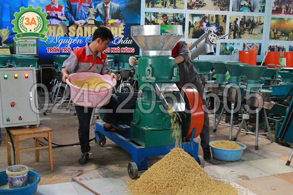 Kỹ thuật viên sử dụng Máy ép cám viên công suất lớn 3A30Kw