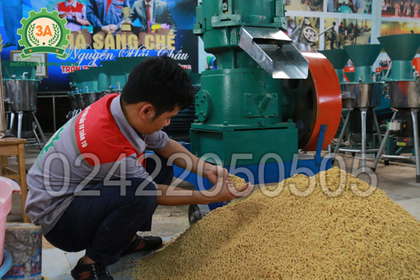 Cám viên sau khi ép bằng máy ép cám viên công suất lớn 3A30Kw
