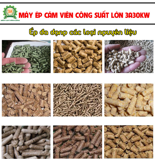 Máy ép cám viên công suất lớn 3A30Kw ép cám viên từ đa dạng các loại nguyên liệu