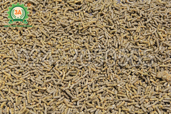 Máy ép cám viên gia đình 3A3,5Kw (15)