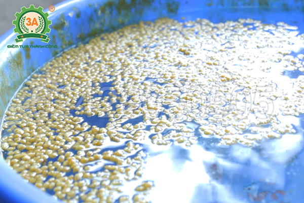 Máy ép cám viên nổi 3A15Kw (cấp liệu bán tự động)