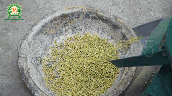 Máy ép cám viên trục đứng 3A