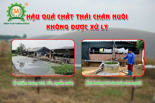 Máy ép phân lợn, bò 3A (07)