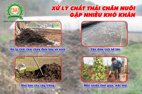 Máy ép phân lợn, bò 3A (08)