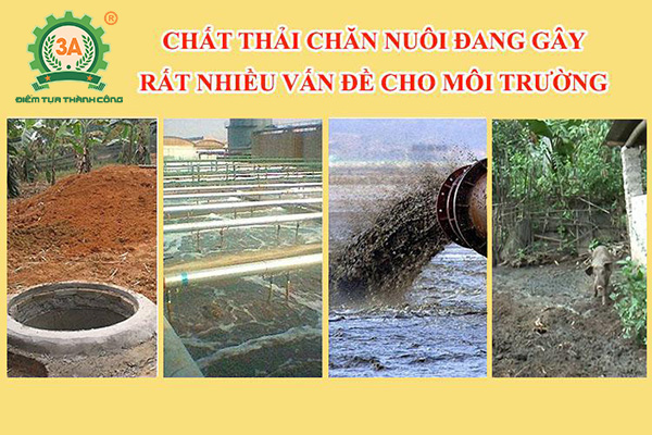 Máy ép phân tách nước 3A (06)