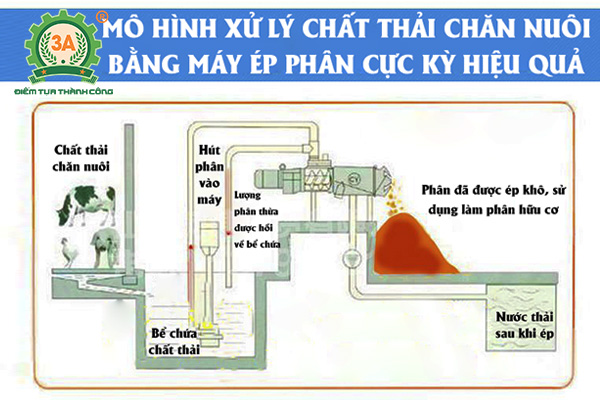 Máy ép phân tách nước 3A (11)