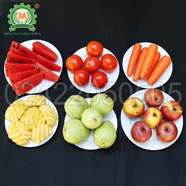 Máy ép trái cây inox đa năng 3A370W