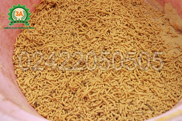 máy ép cám viên chính hãng máy ép cám viên chính hãng