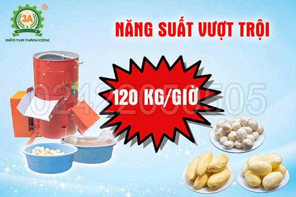 Máy gọt vỏ khoai tây, khoai lang 