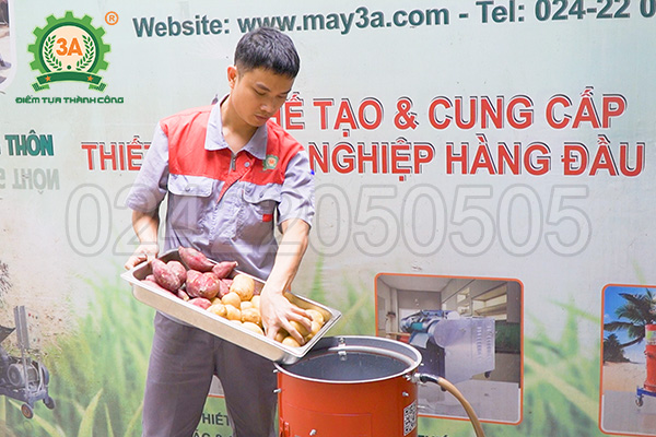 Máy gọt vỏ khoai tây, khoai lang 