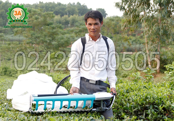 Anh Đinh Văn Phú cũng là một trong rất nhiều khách hàng sử dụng máy hái chè 3A