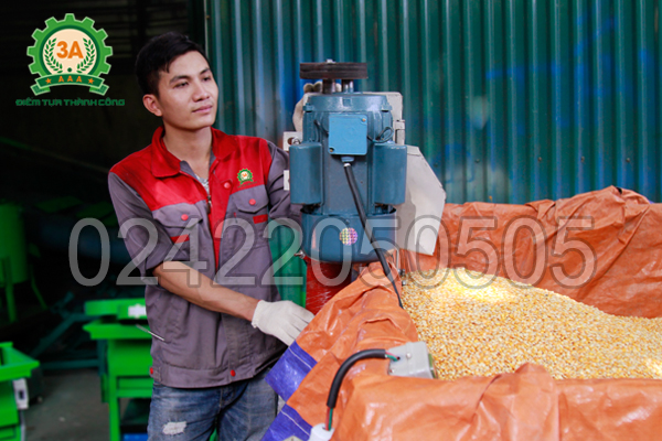 Máy hút hạt nông sản 3A6M không gây bụi khi làm việc