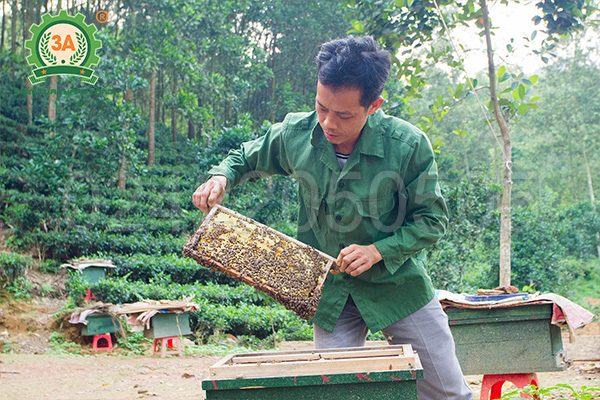 Máy in chân tầng ong nội 3A2,2Kw