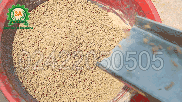 Viên cám thành phẩm Máy làm cám viên trục đứng 3A5,5Kw nén chặt, đều, đẹp