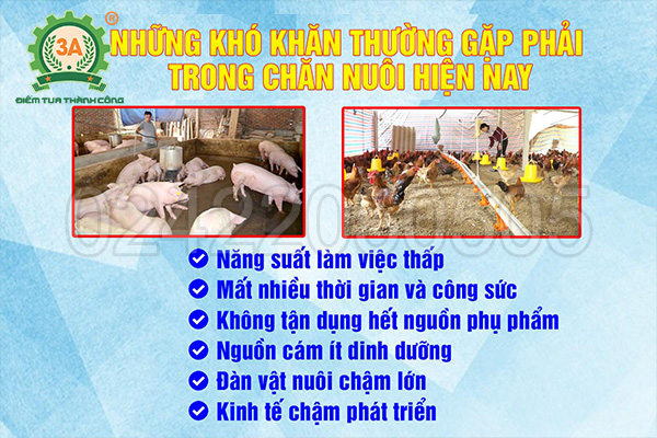 Máy làm cám viên trục đứng đa năng 3A5,5Kw